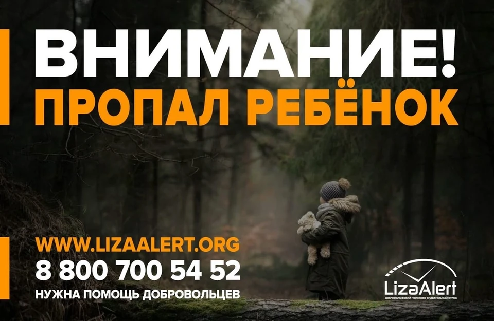 Фото: ДПСО "Лиза Алерт" Костромской области
