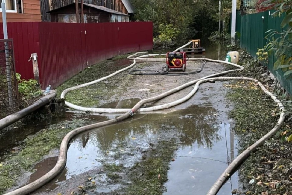 Более 7,5 кубометров воды откачали из СНТ в Первомайском районе Новосибирска. Фото: Спасатели МАСС.