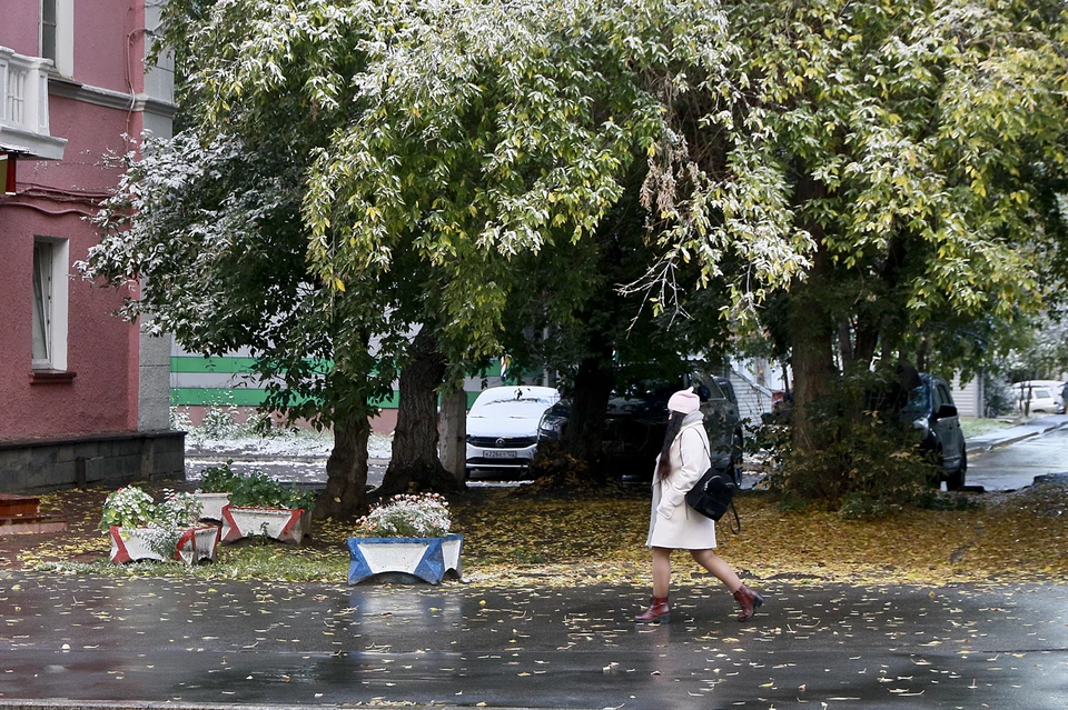 Мокрый снег может пройти к концу недели