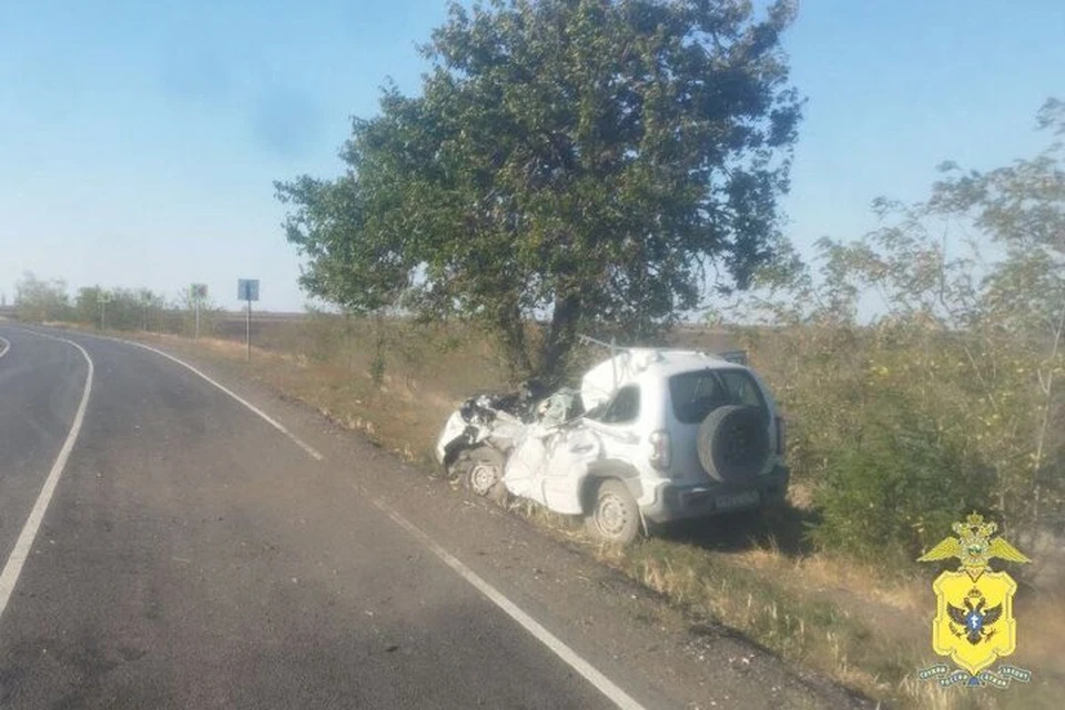 Смертельная авария произошла в Нижнесерогозском районе. Фото: ГУ МВД России по Херсонской области.