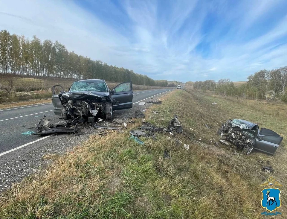 В страшном ДТП погибли двое детей и пострадали пять взрослых. Фото: ГУ МВД России по Самарской обл.