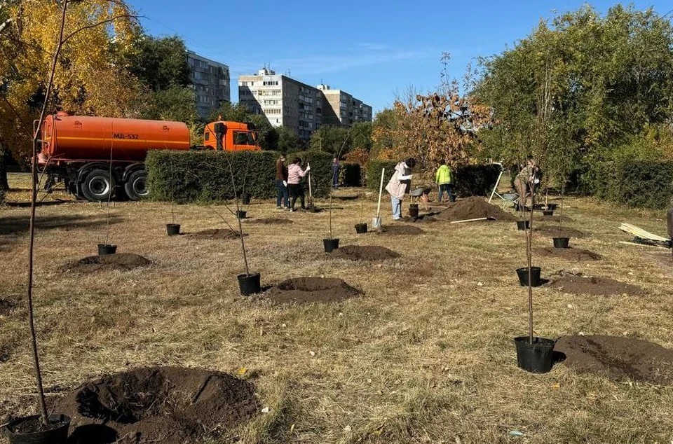 Посадки планируются и в других скверах