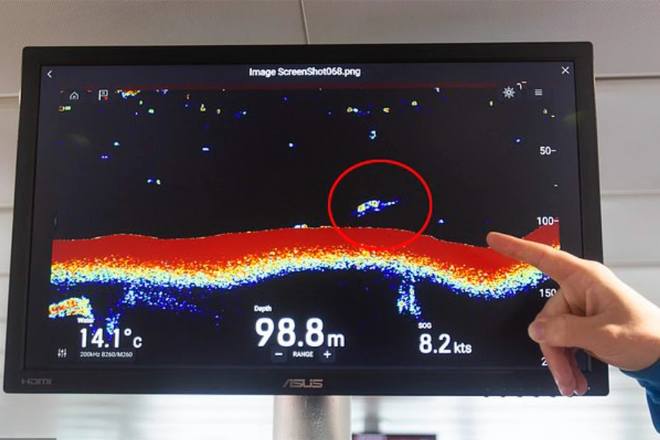 Объект на экране сонара напоминал плезиозавра: видны длинная шея и ласты.