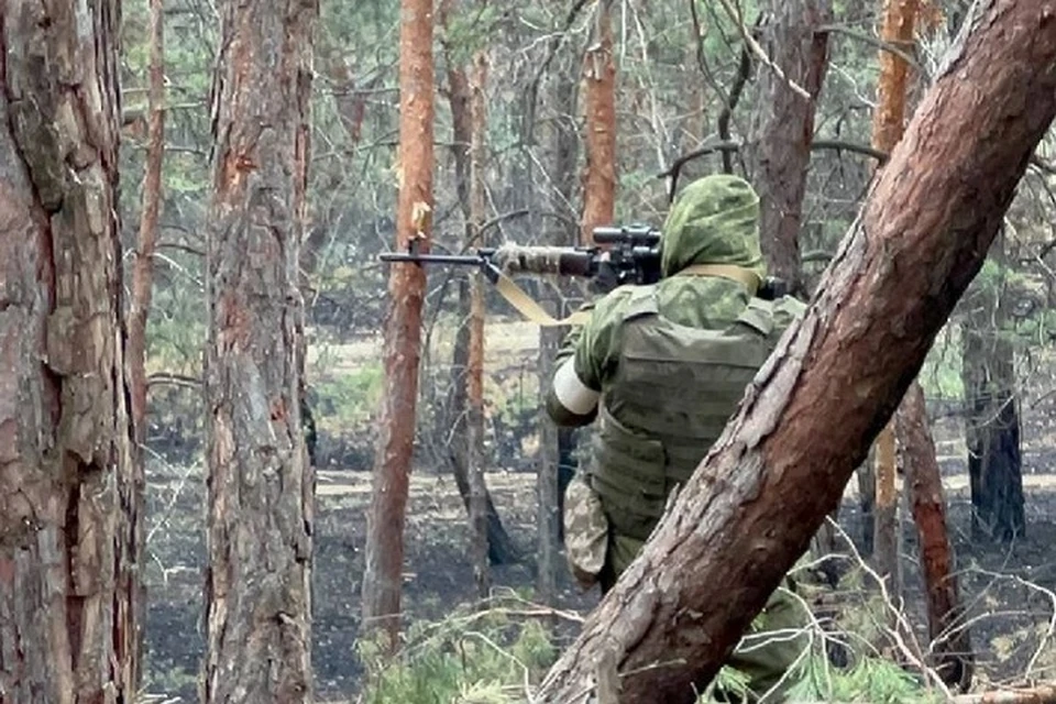 В ДНР группировка войск Центр продвинулась в глубину обороны ВСУ (архивное фото)