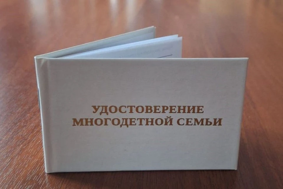 Вид новых удостоверений единого образца для многодетных семей. Фото: департамент информационной политики Свердловской области