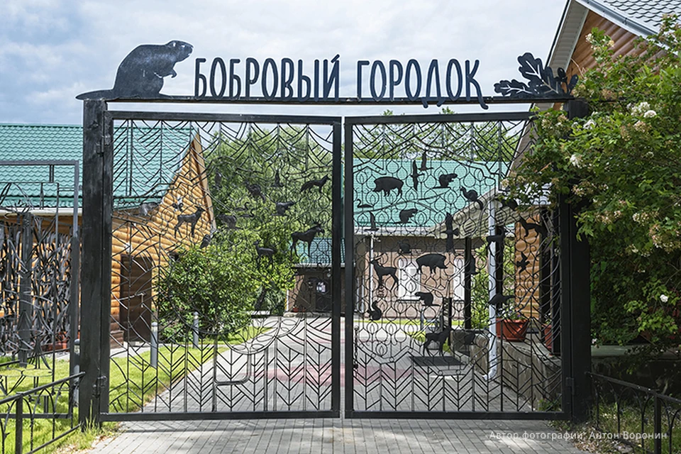 Фото с сайта Воронежского заповедника