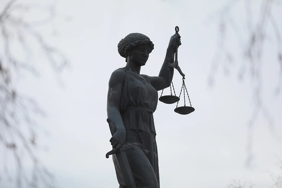 Женщине грозит до пяти лет колонии за применение насилия в отношении полицейских