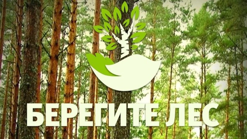 Фото: министерство природных ресурсов и экологии области