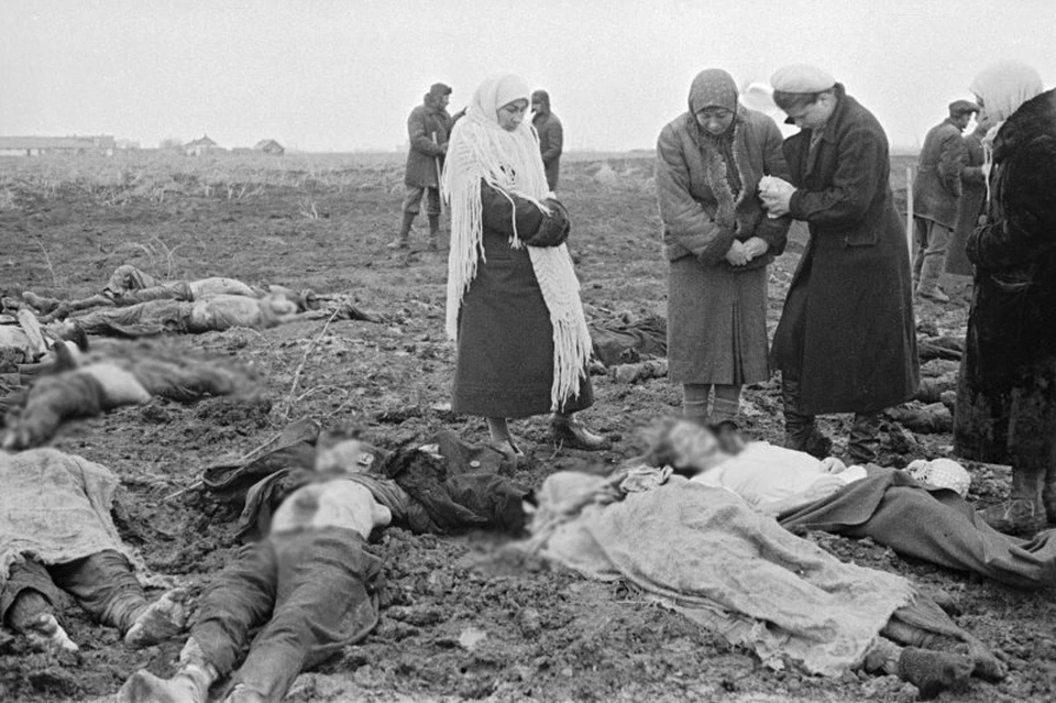 Человеческое горе в цифрах, фактах, фотографиях.