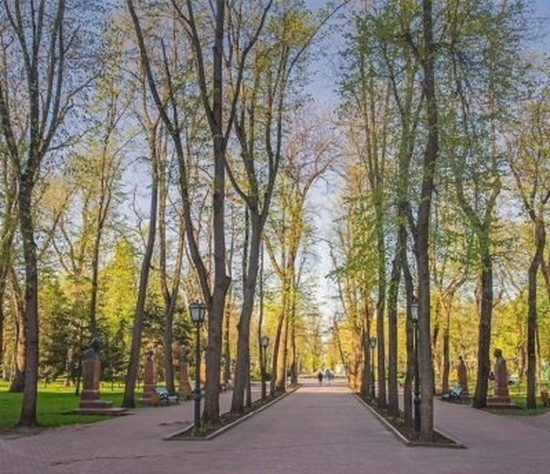 Фото: соцсети