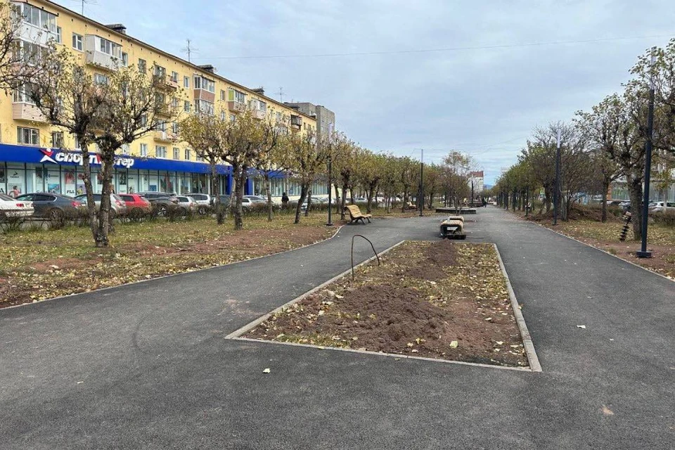 Всего высажено 1700 кустарников и деревьев. Фото: телеграм-канал мэра Братска Александра Дубровина