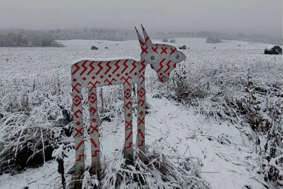 Октябрьский снег в Ленобласти. Фото: Юлия Сталина