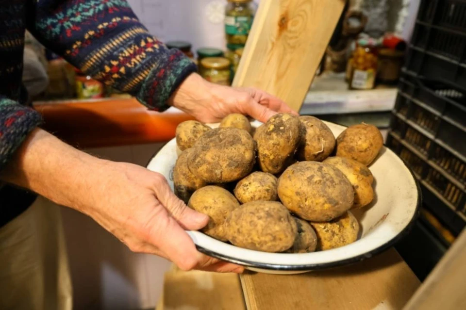 Более 74 тысяч тонн картофеля собрали в Иркутской области.