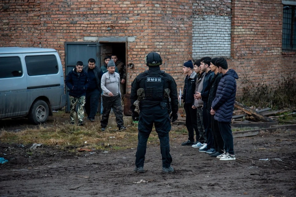 После рейда в Емельяновском районе 12 мигрантов выдворят из страны. Фото: краевое МВД