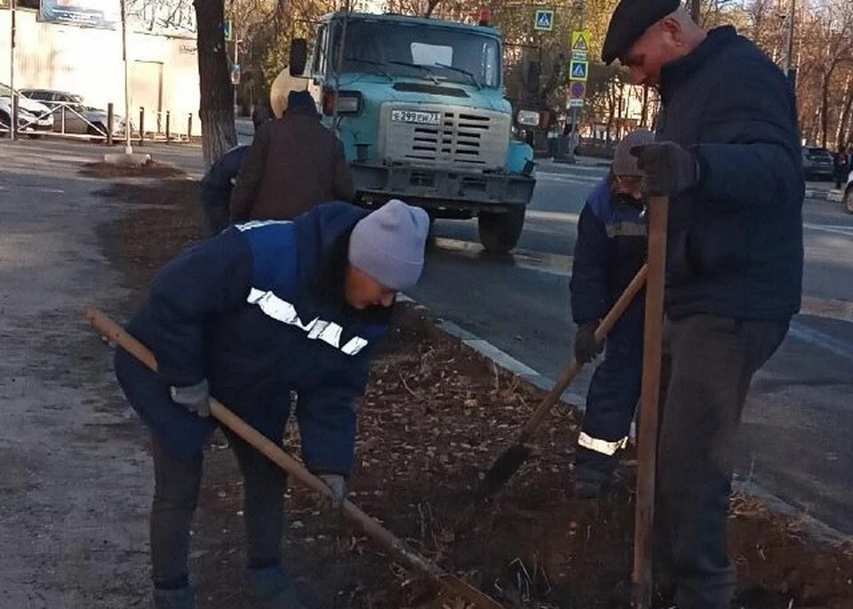 В Ульяновске на улице 12 Сентября появились молодые насаждения. ФОТО: тг-канал Центра по благоустройству и озеленению Ульяновска