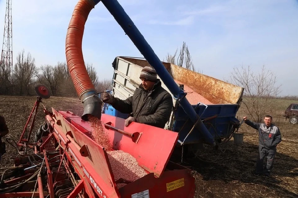 Уже засеяны порядка 155 тысяч гектаров полей