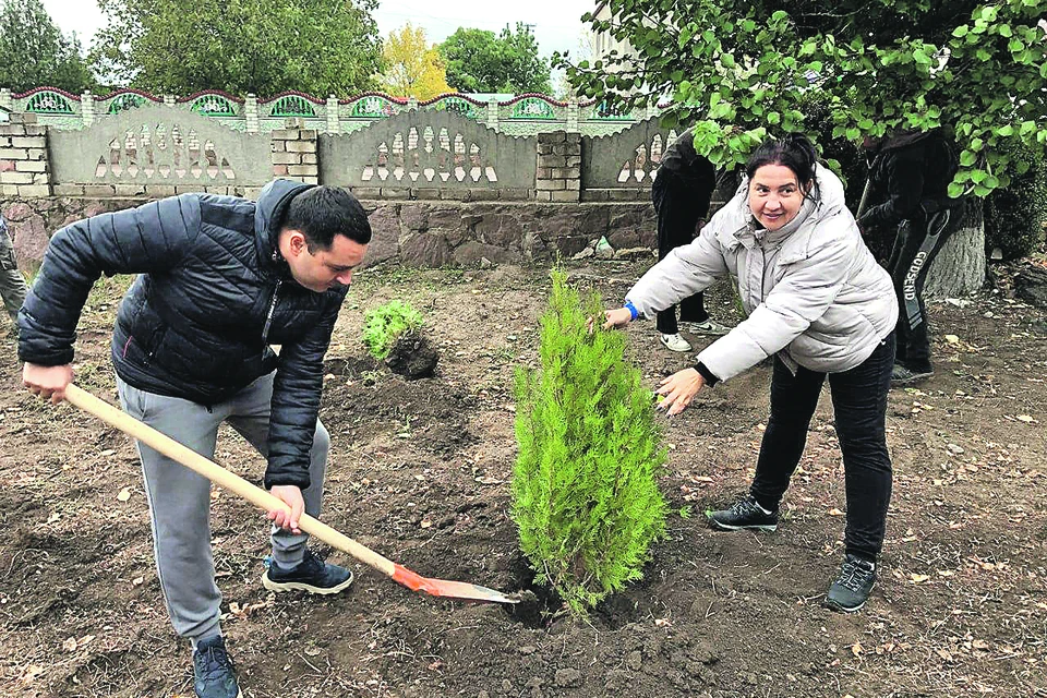 Новая аллея появилась в Надеждовке.