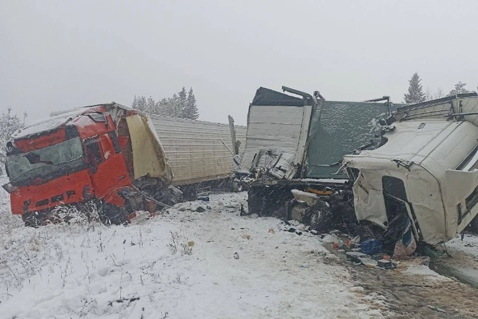 Водителей увезли в больницу. Фото: Госавтоинспекция Удмуртии