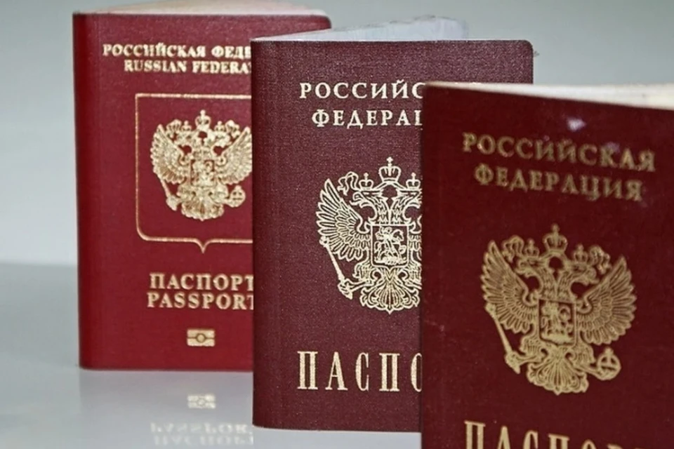 Кабмин не поддержал законопроект о «заграничном» получении гражданства России