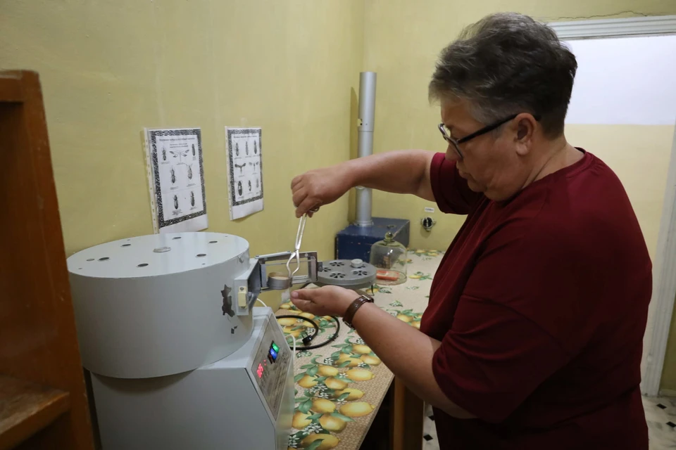 Фото: ФГБУ «Россельхозцентр» по Тюменской области
