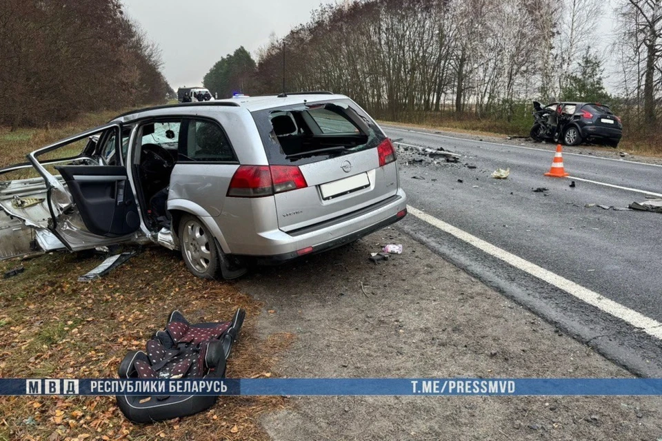 В Добрушском районе женщина-водитель Nissan врезалась в Opel, выехав на встречку. Фото: телеграм-канал МВД Беларуси