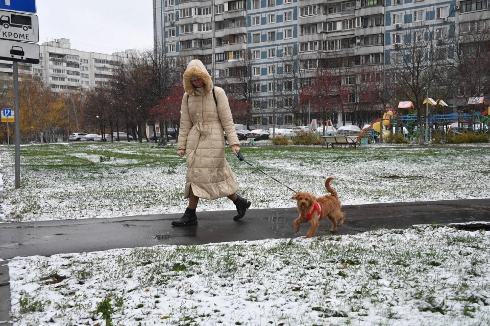 В столице в конце рабочей недели прогнозируется мокрый снег с дождем