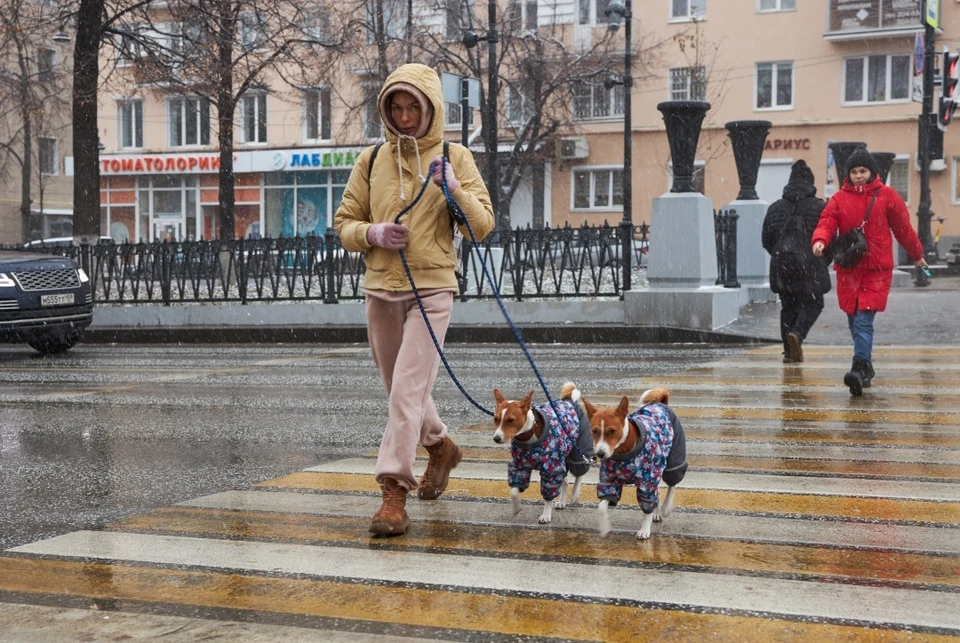 Зима опять отступила на время.