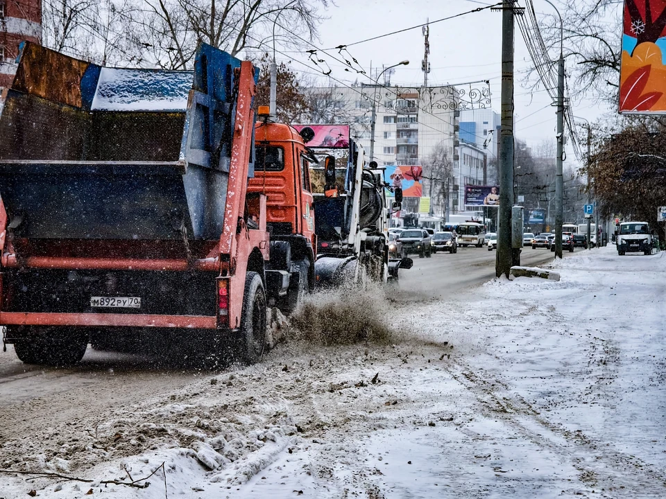 Фото: Дмитрий Еланаков