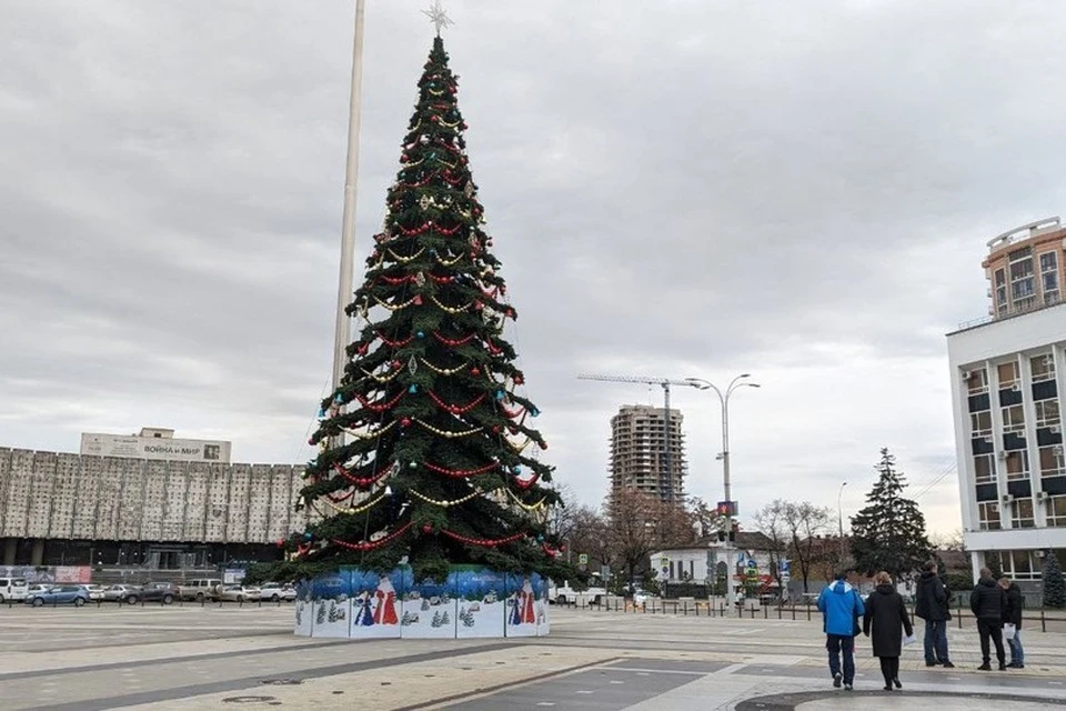 22-метровую елку установят на Главной городской площади