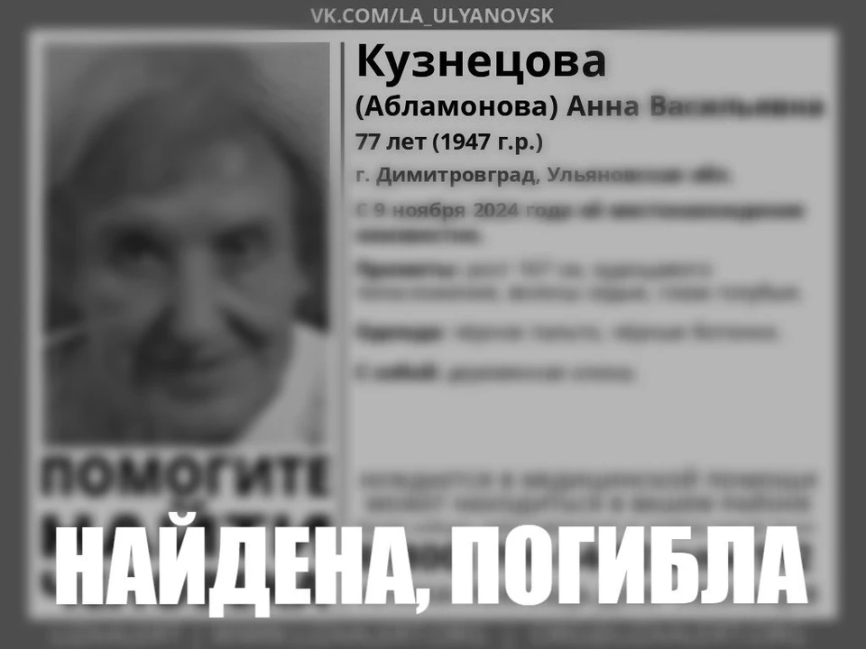 В Димитровграде Ульяновской области разыскивают 77-летнюю пенсионерку | ФОТО: телеграм-канал ДПСО "ЛизаАлерт" Ульяновской области