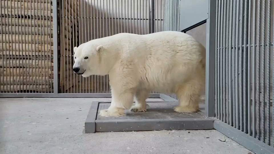 Фото: Большереченский зоопарк