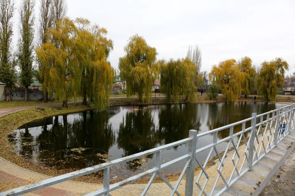 Фото городского управления экологии