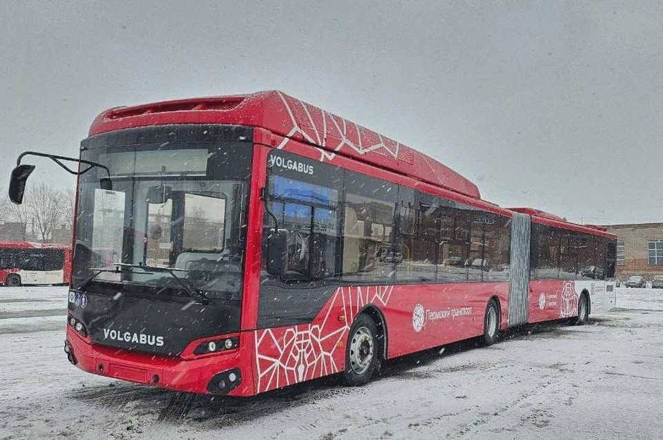 Автобусы-гармошки для Перми окрасили в красно-белые тона. Фото: ТГ-канал Эдуарда Соснина.