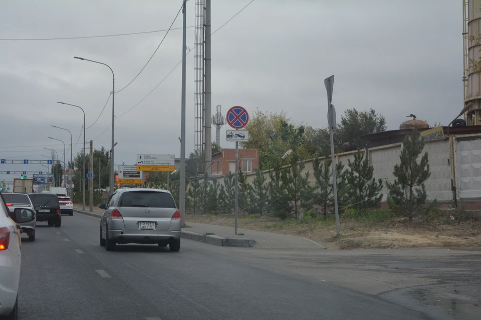 Сосны повыдергивали и высадят снова.