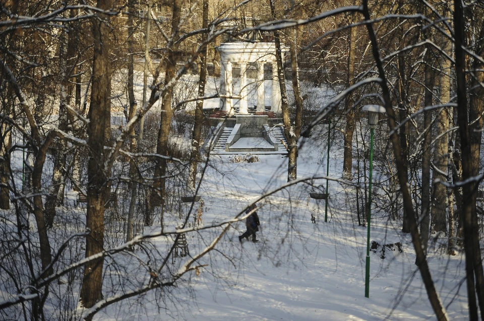 Несколько человек пострадали от действий онаниста в Харитоновском парке