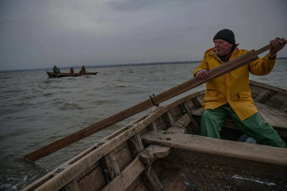 Популяция осетра в Азовском море достигла 2000 тонн.