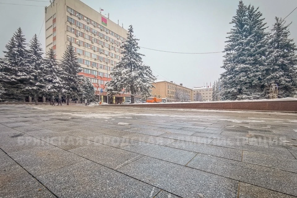 Фото: пресс-служба Брянской городской администрации.