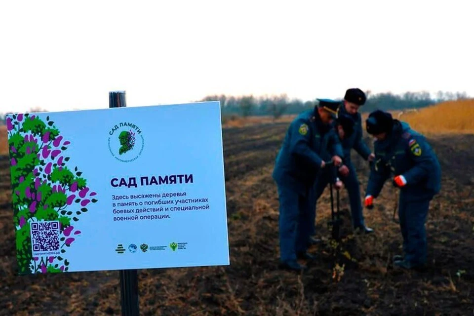 В Запорожской области спасатели высадили саженцы белой акации в память о героях Отечества. ФОТО: ГУ МЧС России по ЗО