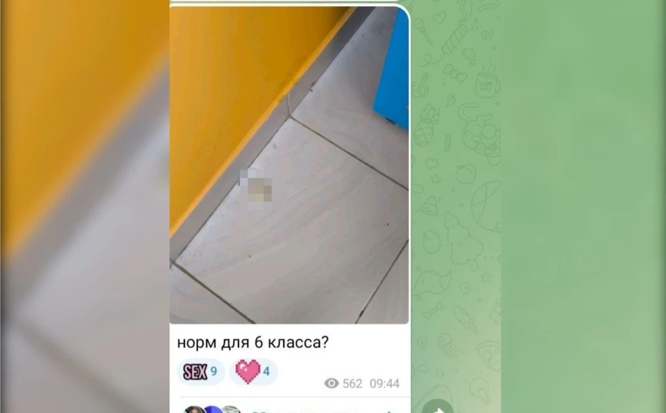 Видео чаты школьников