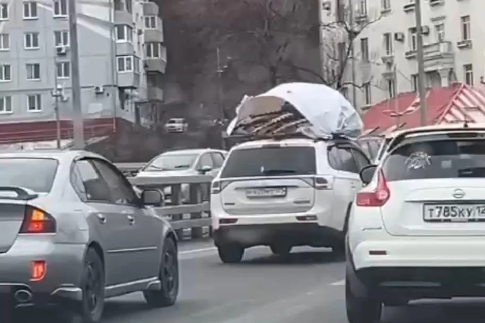 Видео быстро разлетелось по социальным сетям. Фото: принтскрин видео Приморье сегодня.