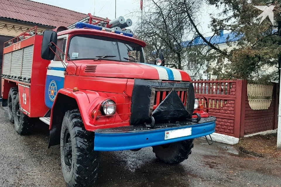 В Воложинском районе спасатели достали из ямы лошадь. Фото используется в качестве иллюстрации: архив «КП».