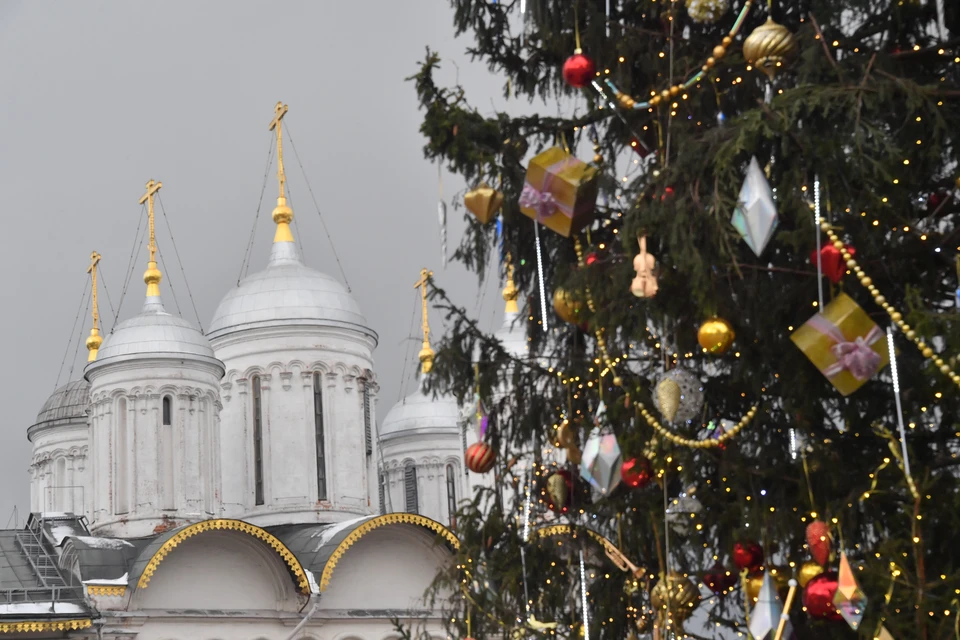 Главная новогодняя ёлка России в Москве названа второй по высоте в Европе