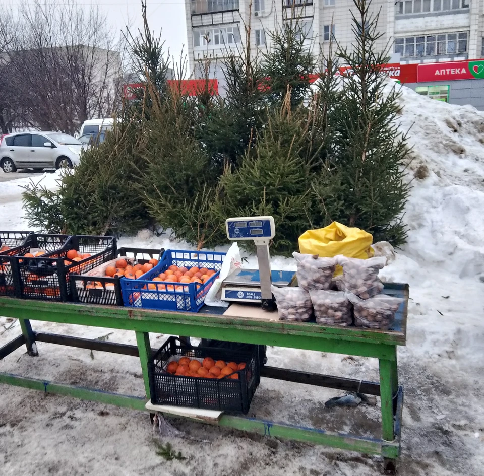 Фото: пресс-служба администрации города Костромы
