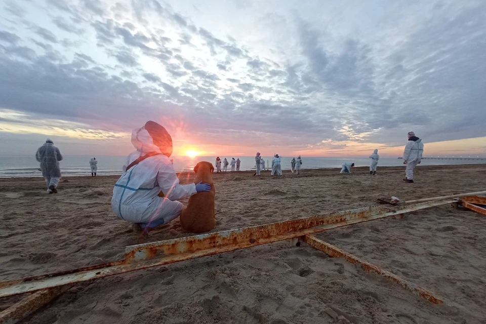 Сейчас мазут спустился на дно из-за холода. Фото: Клементина КОВАЛЬДИ.