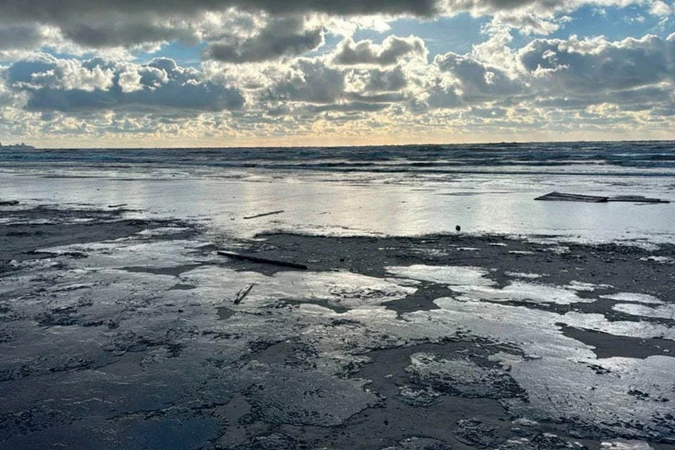 Фото: Евгений Григоренко
