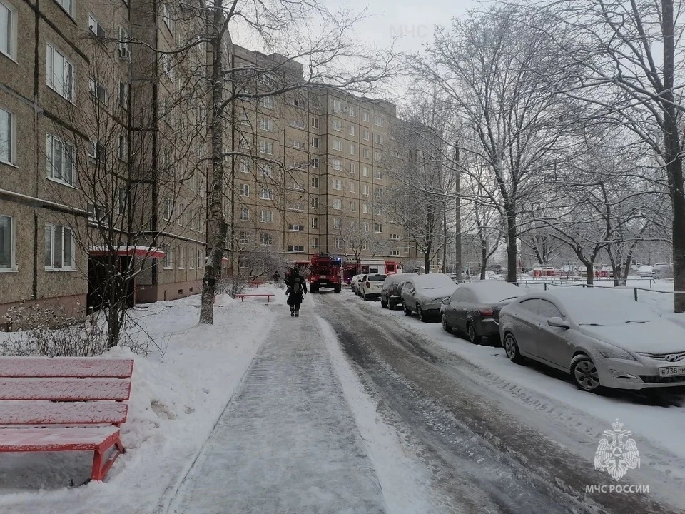 Фото ГУ МЧС России по Владимирской области.