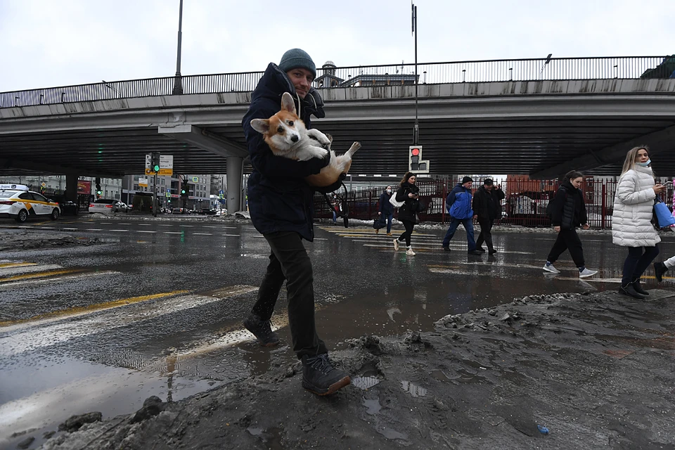 Уже в среду в Москве начнется новая затяжная оттепель