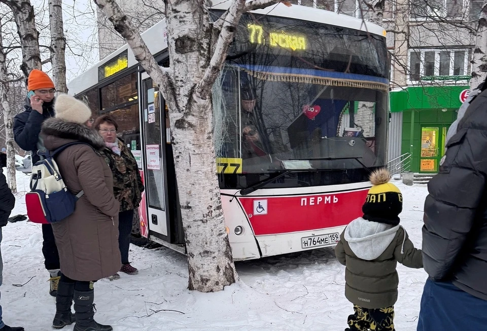 Фото: Екатерина Маулер