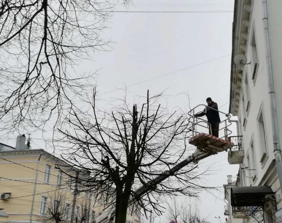 Фото: grad.kostroma.gov.ru