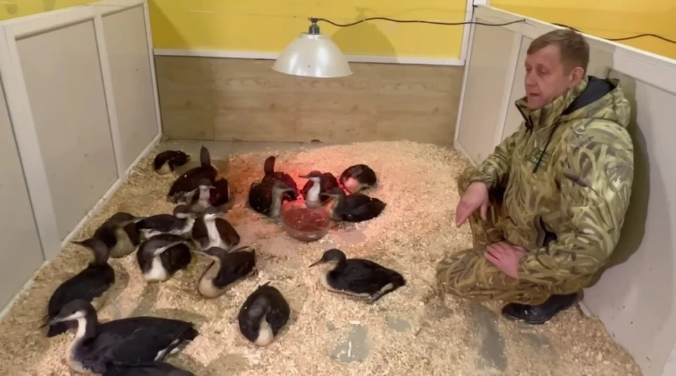 Фото: Telegram-канал Олега Зубкова